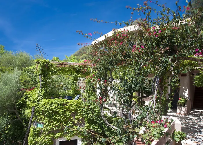 Costa Dorada Otel 4*