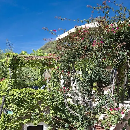 Costa Dorada Hotel