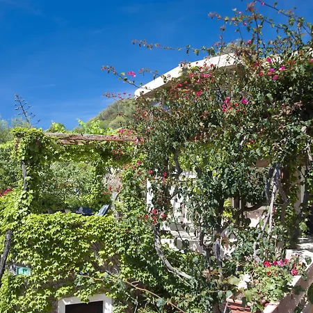 Costa Dorada Hotel 4*